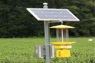 投资太阳能发电新蓝海 2019年加盟和平阳光的成本解析与成功之道